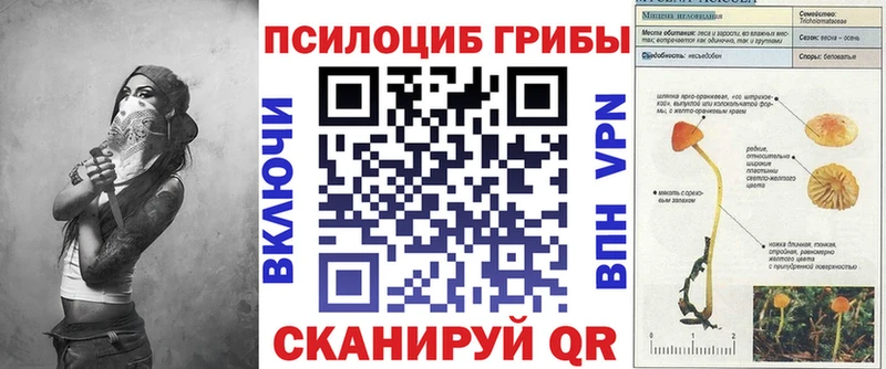 Псилоцибиновые грибы мицелий Камбарка